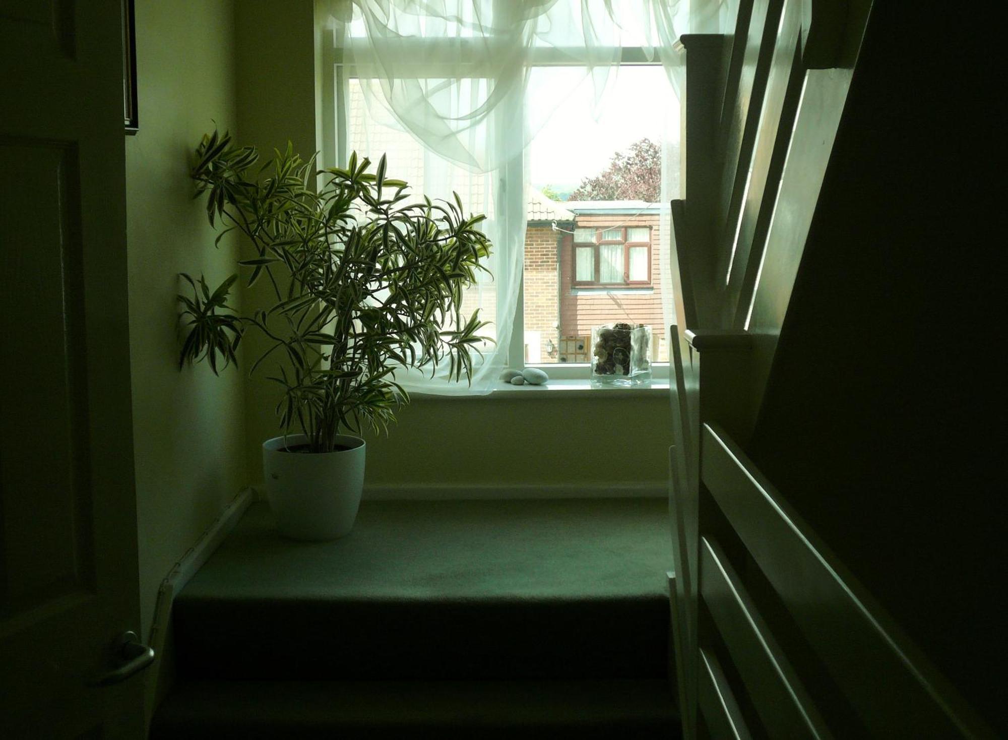 Malvern House ไฮวิคัมบ์ ภายนอก รูปภาพ